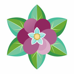 Hellebores flower vector illustration 