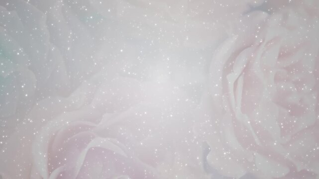 薔薇 ゴージャス パーティクルBG185_ 01