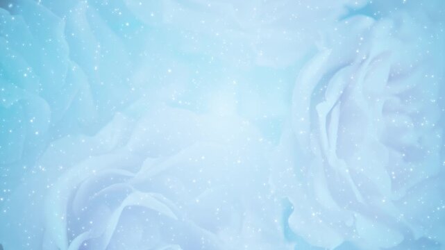薔薇 ゴージャス パーティクルBG185_ 04