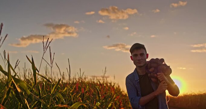 Silhouette of a young farmer walking with a sack of potatoes along a dirt road by a cornfield. Scenic rural landscape and farm life.