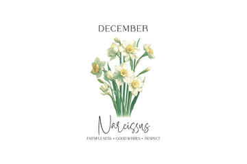 Birth Month Flower Clipart December Sublimation Design