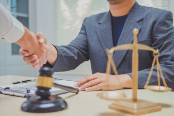 A lawyer is a professional who provides legal advice, represents clients in court, drafts legal documents, and advocates for their clients' rights in various legal matters