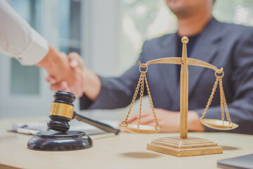 A lawyer is a professional who provides legal advice, represents clients in court, drafts legal documents, and advocates for their clients' rights in various legal matters