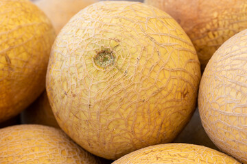 melons in a market