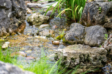 moss on rocks, stream waterway