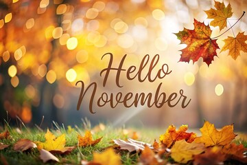 Hello November - Inspirational happy fall, autumn beautiful handwritten quote, gift tag, lettering message. Hand drawn autumn, November phrase. Handwritten modern brush calligraphy. Happy Thanksgiving