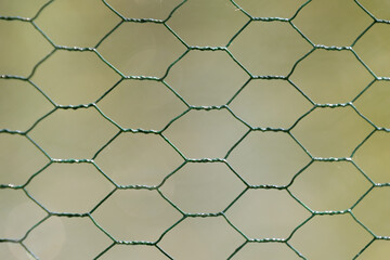 Hexagonal metal mesh on a green background.