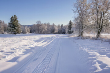 Obraz premium Frozen country road winding through snowy forest under a bright winter sky