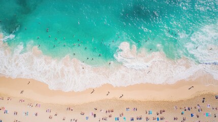 Fototapeta premium High-altitude view capturing people sunbathing, the blue ocean waves lapping near the crowded sands of Coogee Beach.