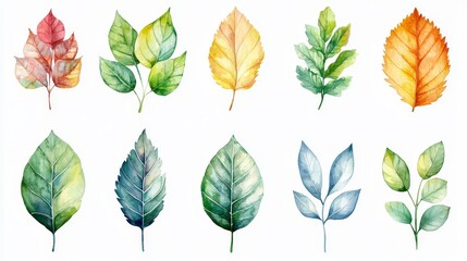 Obraz premium Watercolor leaf motifs with a calming palette for wellness presentations.