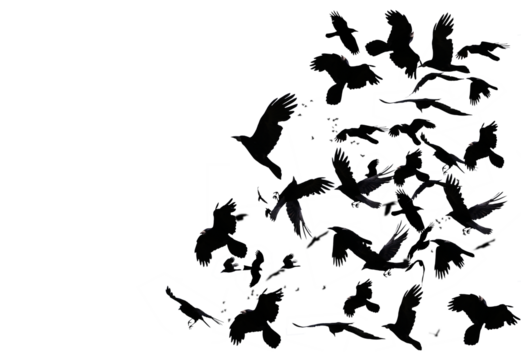 Flock of birds isolated