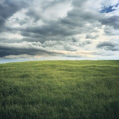 Fototapeta premium The vivid green of a grassy field contrasts with a cloudy sky above, highlighting the beauty and unpredictability of nature