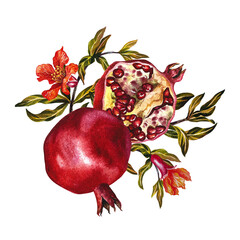Pomegranate fruits and flowers on a branch. Pomegranate in the section. A watercolor illustration made by hand. For labels, packages. For postcards, flyers and posters, for decorating kitchen utensils © ANTONINA MASLOVA