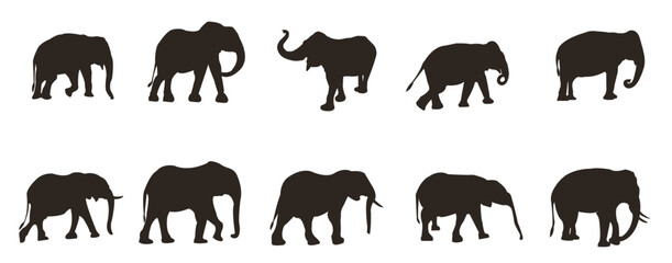 Elephant icons collection