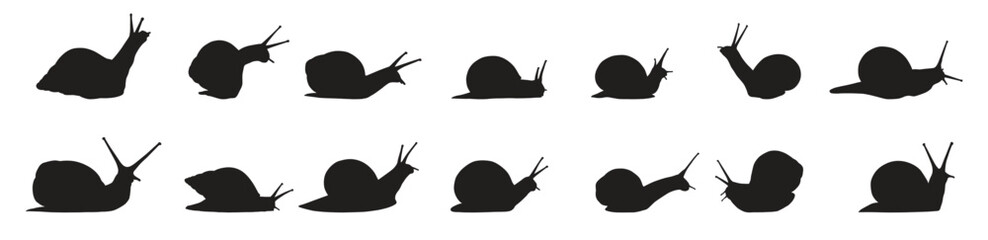Snail silhouette set