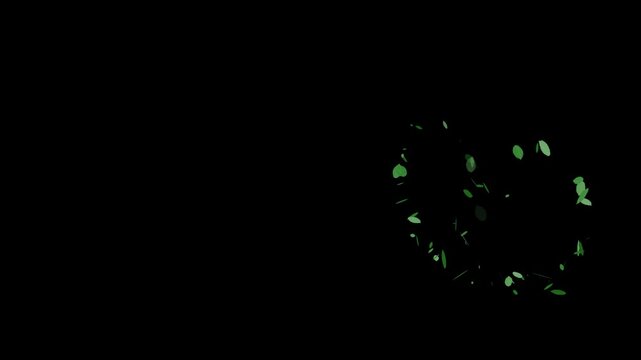 green leaves flying circular path. animated video isolated on alpha channel background.