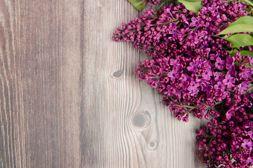 Branch of beautiful lilac flowers on wooden surface