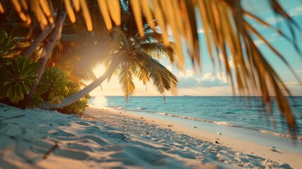 Palm trees, sand, sea. Summer vacation