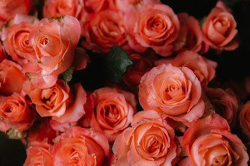 A vibrant bouquet of fresh roses, bursting with color and delicate petals, perfect for celebrating love, anniversaries, or special occasions, capturing nature's beauty and fragility.