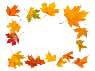 Autumn maple leaf frame, colorful fall foliage border isolated on transparent or white background