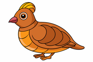 chicken isolated on white