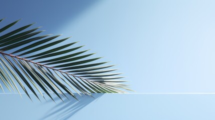 Obraz premium A minimalist image featuring a palm leaf against a blue background.