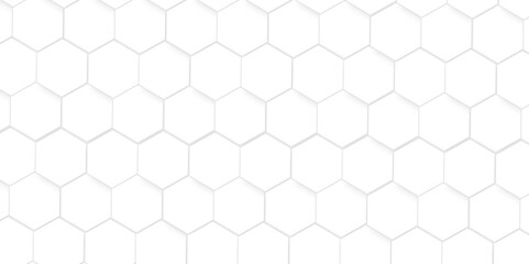 White Hexagonal Background. Luxury White Pattern. Vector Illustration. 3D Futuristic abstract honeycomb mosaic white background. geometric mesh cell texture. modern futuristic wallpaper.