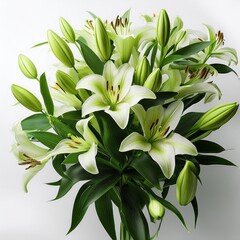 Obraz premium Green bouquet blooming blossom petal spring white background nature beauty plant lily flowers