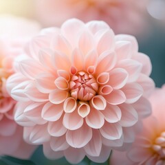 Fototapeta premium sustainable eco soft romance dahlia flower in sweet pastel tone background for valentine and wedding card. Green ethical growing. Generative AI.