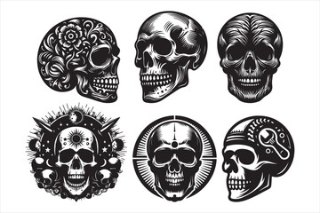 Skull vector silhouette