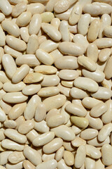 Detail of a surface covered with dry uncooked white beans