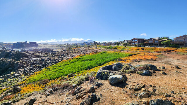 VIEW OF PICHIDANGUI. SEA AND TOURIST VILLAGE ON THE PACIFIC OCEAN COAST, CHILE.