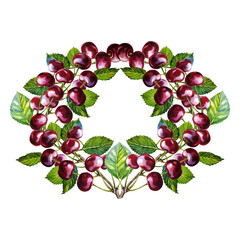 Cherry. The frame is round with a ripe and juicy, appetizing cherry with leaves on a branch. A hand-drawn watercolor illustration. For the design of labels and packages. For menus and postcards.