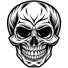 human skull vector illustration