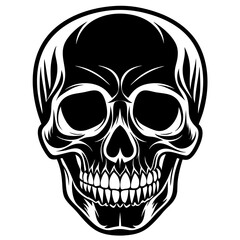 human skull vector illustration