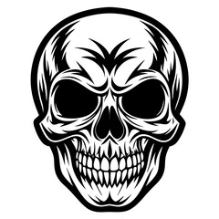 human skull vector illustration