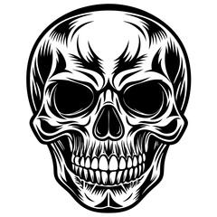 human skull vector illustration