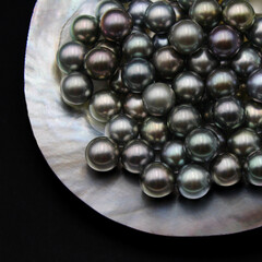 Expensive and luxurious Tahiti black pearls in a white shell on black background, ready to be made into earrings, pendants or necklaces and sold in jewelry store.