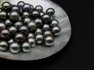 Expensive and luxurious Tahiti black pearls in a white shell on black background, ready to be made into earrings, pendants or necklaces and sold in jewelry store.