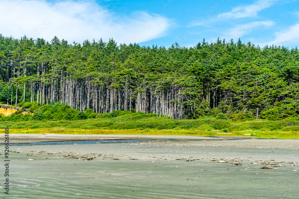 Wall mural Moclips Treeline Landscape 2