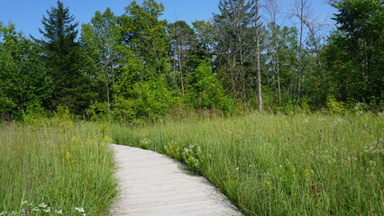 Gravel Pathway Through the Woods at Schlitz Audubon