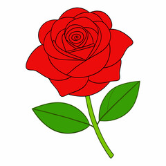 Obraz premium A rose art vector illustration