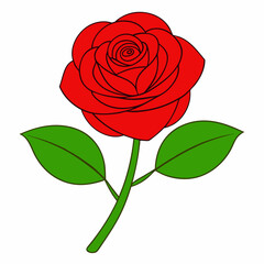 A rose art vector illustration