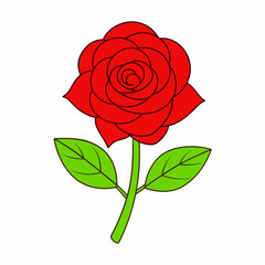 Obraz premium A rose art vector illustration