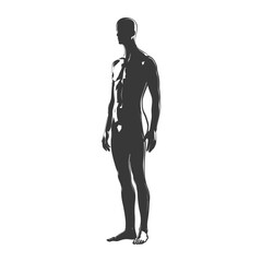Obraz premium Silhouette of a Muscular Man Standing with His Arms at His Sides