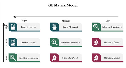 GE Matrix Model. Infographic template with icons and description placeholder