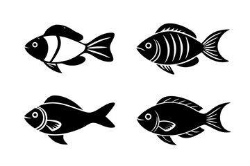 set of fish isolated
