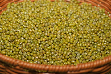 Mung beans (Vigna radiata) are small, green legumes widely cultivated for their high nutritional value and versatility in cooking. Native to Asia