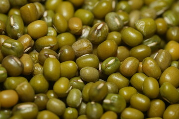 Mung beans (Vigna radiata) are small, green legumes widely cultivated for their high nutritional value and versatility in cooking. Native to Asia|綠豆