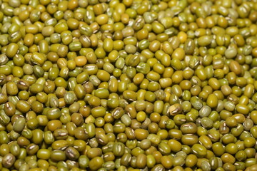 緑豆（Vigna radiata）は、小さくて緑色の豆類で、高い栄養価と料理の多様性から広く栽培されています。アジアが原産です。